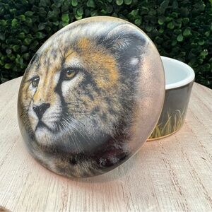 Princeton Gallery | Cubs of Big Cats | Music Box Collection | Cheetah | Vintage